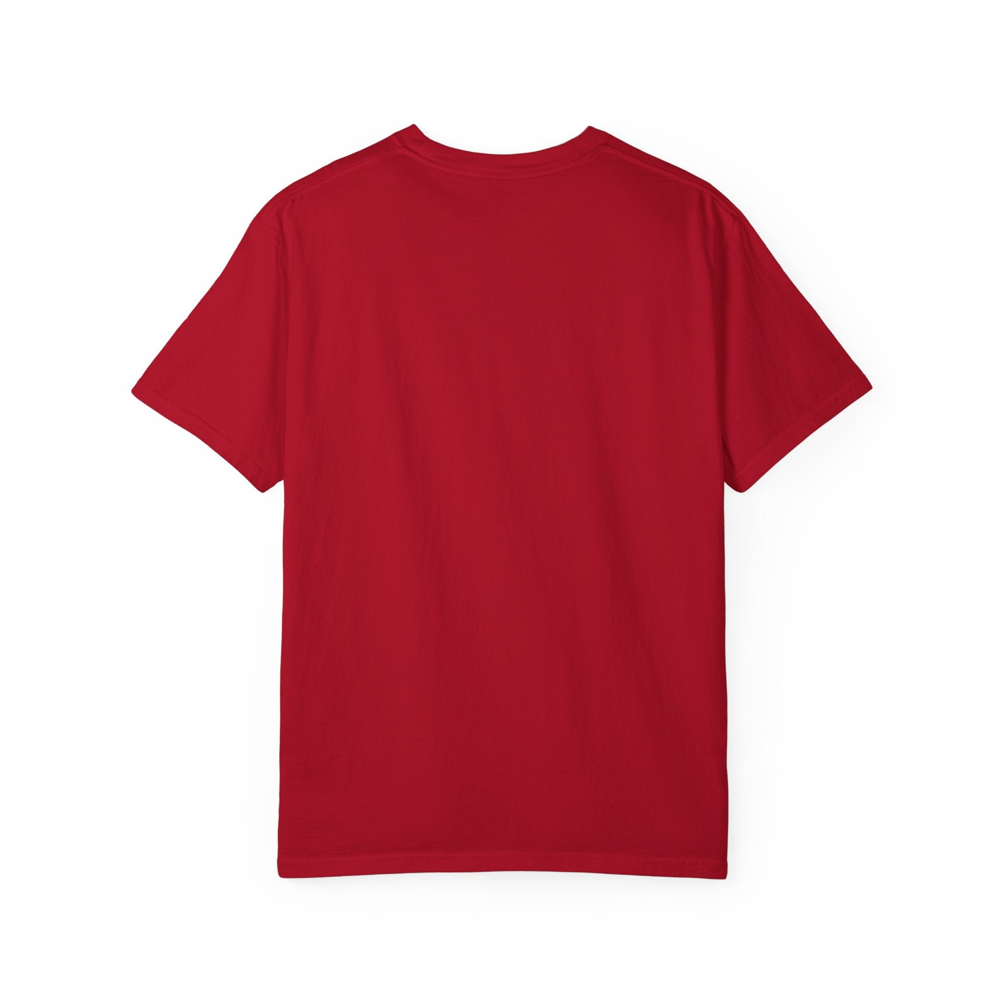 Minimalist Wings Unisex T-Shirt | Freedom & Protection Graphic Tee for Festivals & Concerts