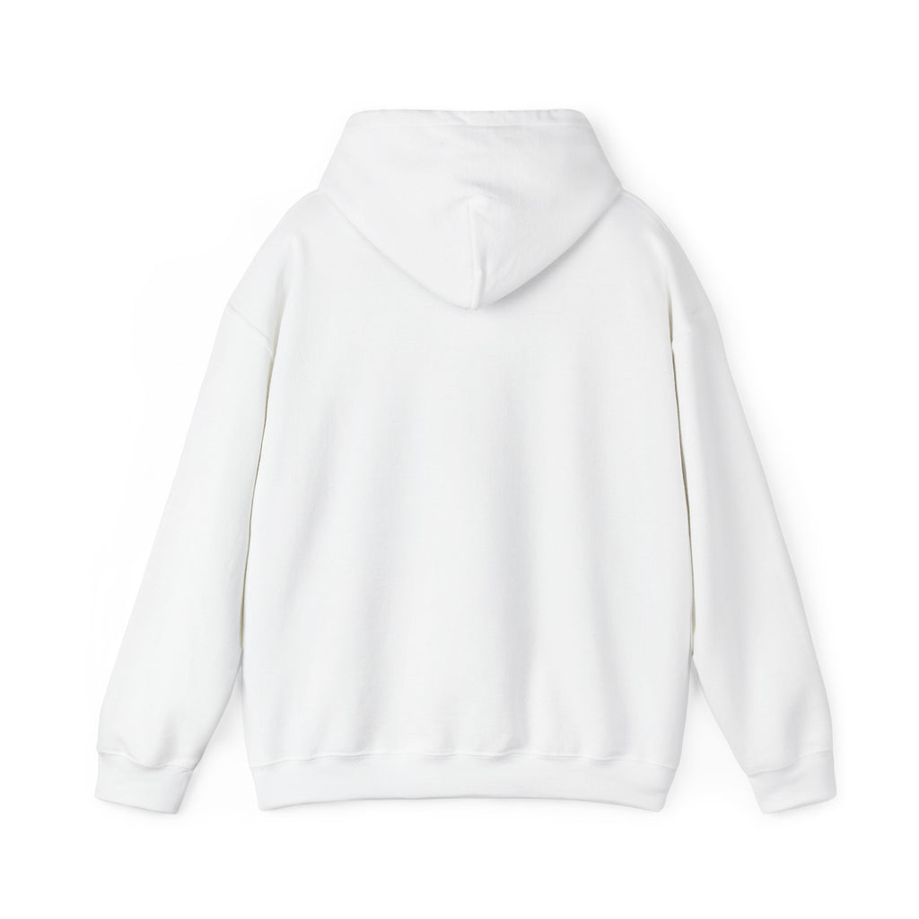 Unisex Hoodie - Menacing Devil Angel Blood-Stained Sword & Shield Design, Angel Wings Sweatshirt